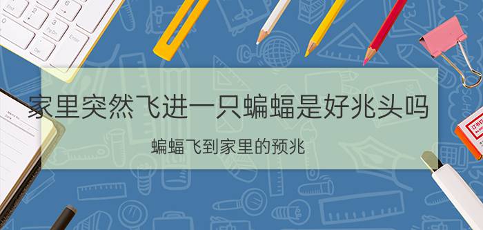 家里突然飞进一只蝙蝠是好兆头吗 蝙蝠飞到家里的预兆